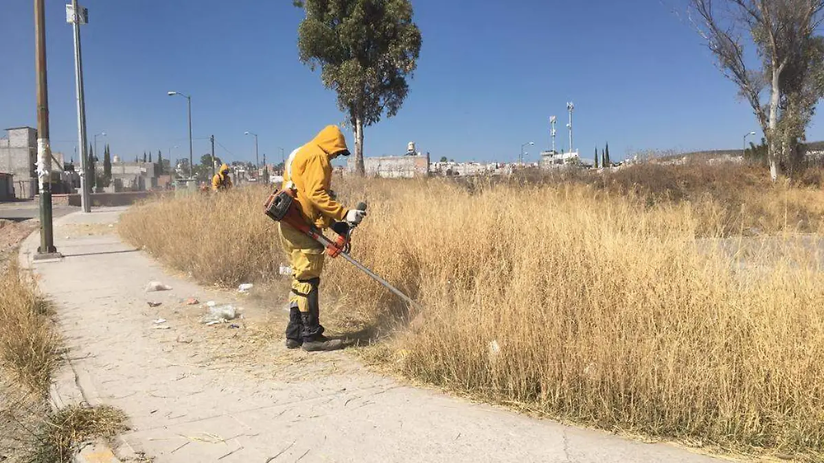 Nueve incendios